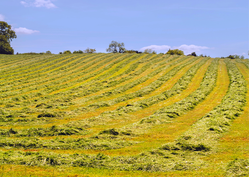 Leading supplier of hay dryers 