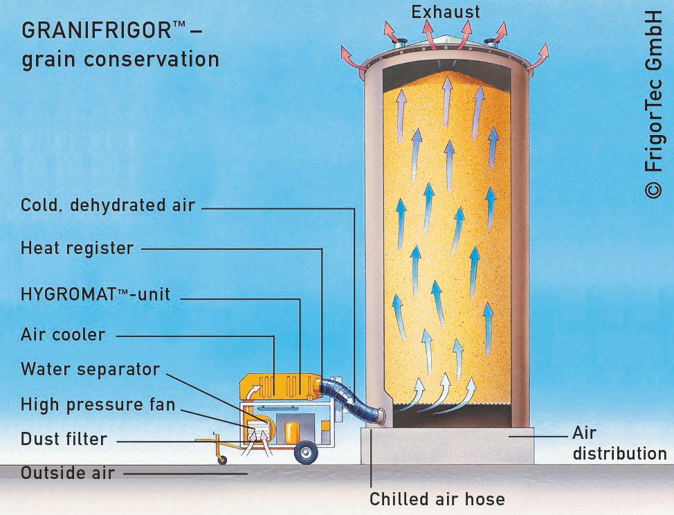 This is what happens during grain conservation with a grain cooler.