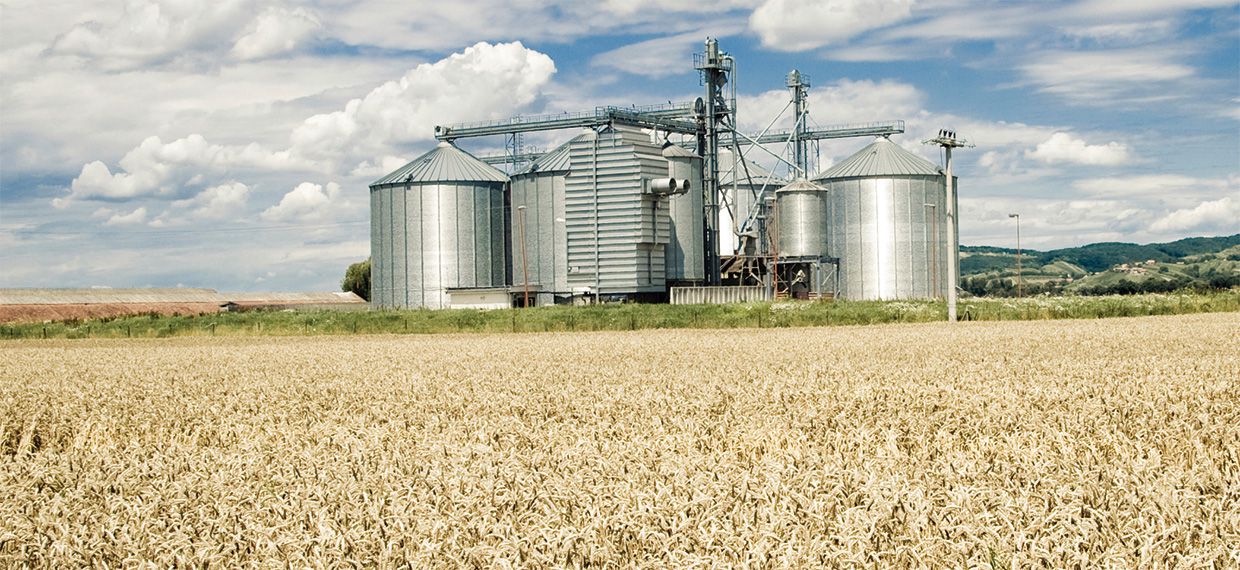Kommerzielle Getreidekühlung für optimale Getreidequalität