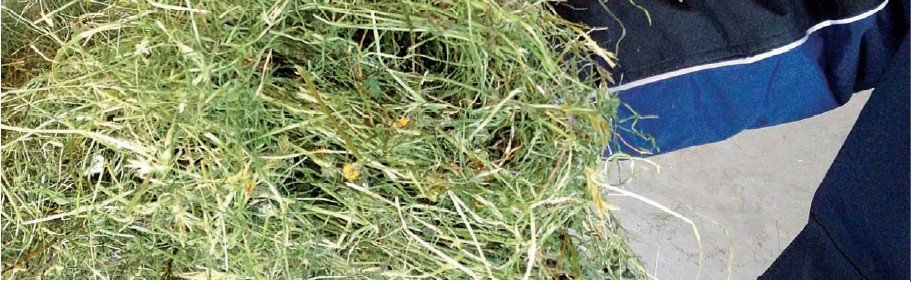 Hay drying unit guarantees good hay quality 