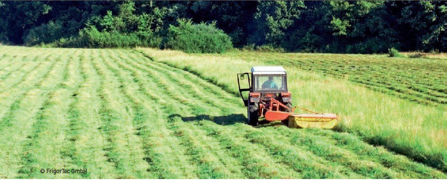 Hay drying starts with tedding and swathing.